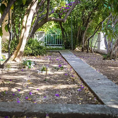 Tatil Evi Lido - Three Bedroom House With Terrace